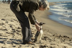 Steve Coogan stars in "The Penguin Lessons"