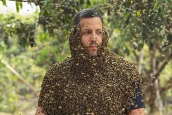 David Blaine poses with a bee beard. (credit: National Geographic/Doug McKenzie)
