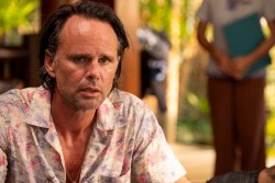 Walton Goggins